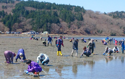 あさり掘り体験ツアー