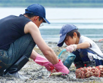 あさり掘り体験ツアー