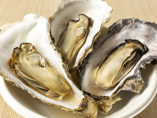 オイスターカフェ